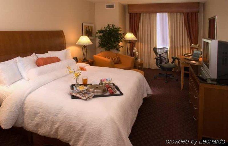 Hilton Garden Inn DFW Airport South Irving Zimmer foto